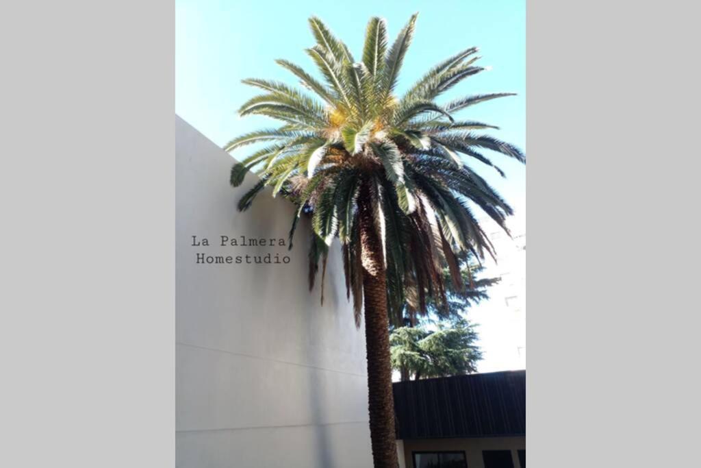 La Palmera Homestudio. Hermoso Apartamento En El Corazon De Palermo Hollywood 부에노스아이레스 외부 사진